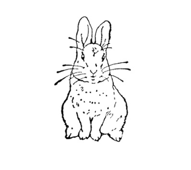 Image outline of a sitting bunny rabbit