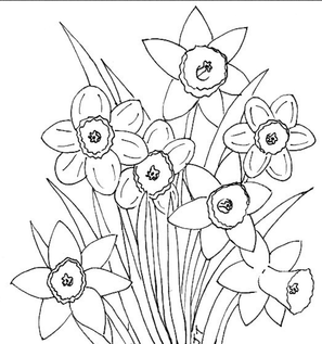 daffodil craft pattern 