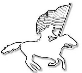 Horse with American flag craft pattern