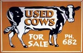 cow clip art