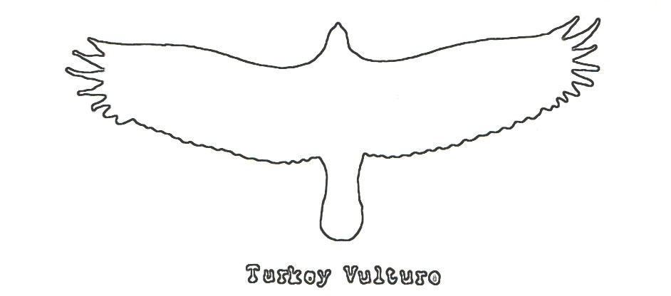Vulture saw pattern