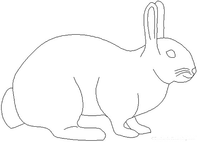bunny rabbit craft pattern