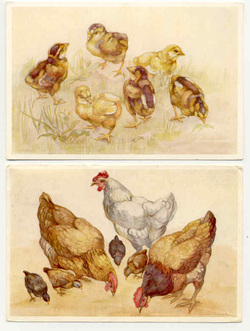 country chicks clip art